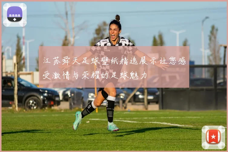 江苏舜天足球壁纸精选展示让您感受激情与荣耀的足球魅力