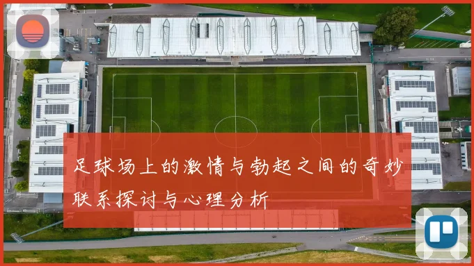 足球场上的激情与勃起之间的奇妙联系探讨与心理分析