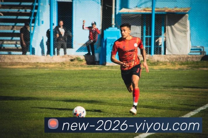 门户网站全站App